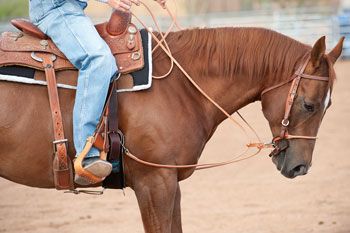 Weaver Harness Leather Draw Reins
